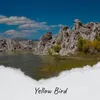 Yellow Bird