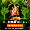 Katyayani Beej Mnatra - Kleem Shri Trinetrayae Namah