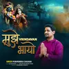 About Mujhe Vrindavan Bhayo Song