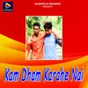 About Kam Dham Karahe Nai Song