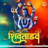 About Shiv Tandav Song