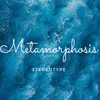 About Metamorphosis Song