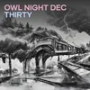 Owl Night Dec Thirty