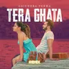 About Tera Ghata Remix Song