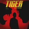 About Tiger Song