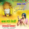 About Baba Teri Shirdi Song