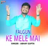 About Falgun Ke Mele Mai Song