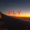 Fly