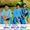 About Behror Tehsil Me Dhaak Song