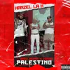 About Palestino Song