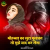 About Mohabbat Ka luta Gulshan To Mujhe Yaad Karlena Song