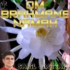 About Om Brahmane Namah Song