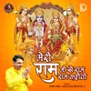 About Meri Ram Ji Se Ram Ram Kahiyo Song