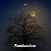 About Nomthandazo Song