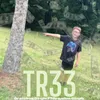 About Tr33 Song