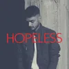 About Hopeless Song