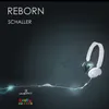 About Reborn Original mix Song