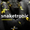 Snaketronic Original mix