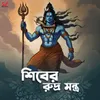 About Shiva Rudra Mantra Song