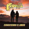 About Conociendo El Amor Song