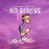 About No Stress Song