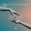 Love Like We're Dreaming