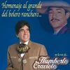 Amigo Organillero