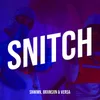 About Snitch Song