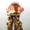 About Live It Up Song
