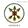 About Arrows Song