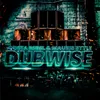 About Dubwise Song