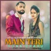 About Main Teri Hona Chahu Song