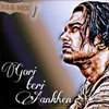 Gori Teri Aankhen Kahe ( R&amp;B Mix )