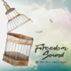 About Freedom Sound Song