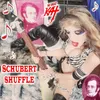 About Schubert Shuffle Song