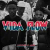 About Vida Flow Song