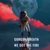 About We Got the Fire Song