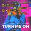 About Turn Me On Song