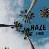 About Vibes Song