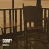 About Sorry Song