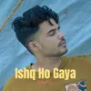 About Ishq Ho Gaya (Reprise) Song