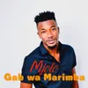 About Mjolo Song