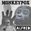About Monkey Pox Song