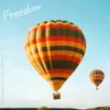 About Freedom Song