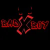 About BadBoy Song