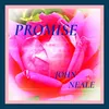 About Promise Song