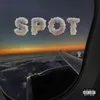 Spot