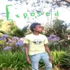 About Exposed Song