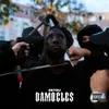 About Damoclès Song