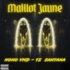 About Maillot Jaune Song